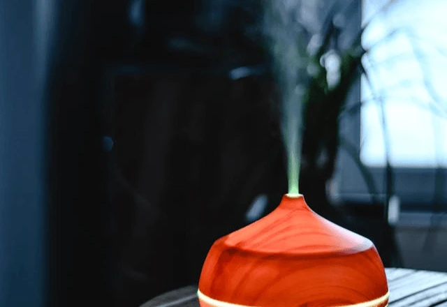 Umidade no ar pode atingir níveis críticos em São Paulo, adverte Defesa Civil