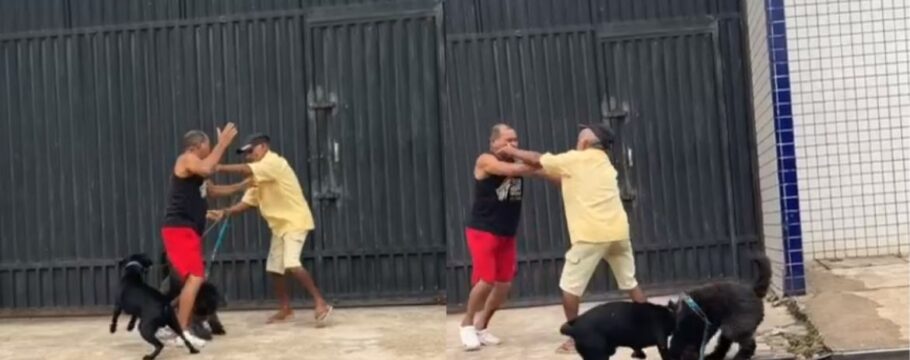 Cães e tutores se envolvem em briga durante passeio em via pública no Pará