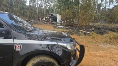 Deic prende cinco suspeitos de desmanche clandestino e recupera cães roubados em Guarulhos