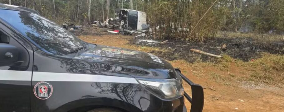 Deic prende cinco suspeitos de desmanche clandestino e recupera cães roubados em Guarulhos