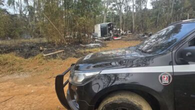 Polícia localiza suspeitos de roubo de cães de raça com auxílio de drone em rodovia de SP