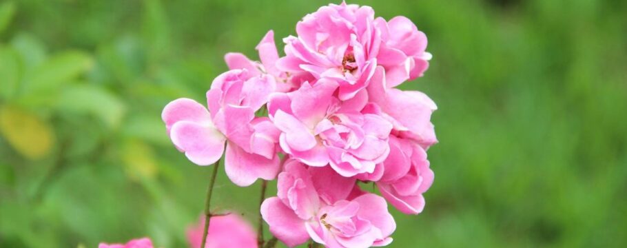 Primavera começa com sol forte e calor em São Paulo