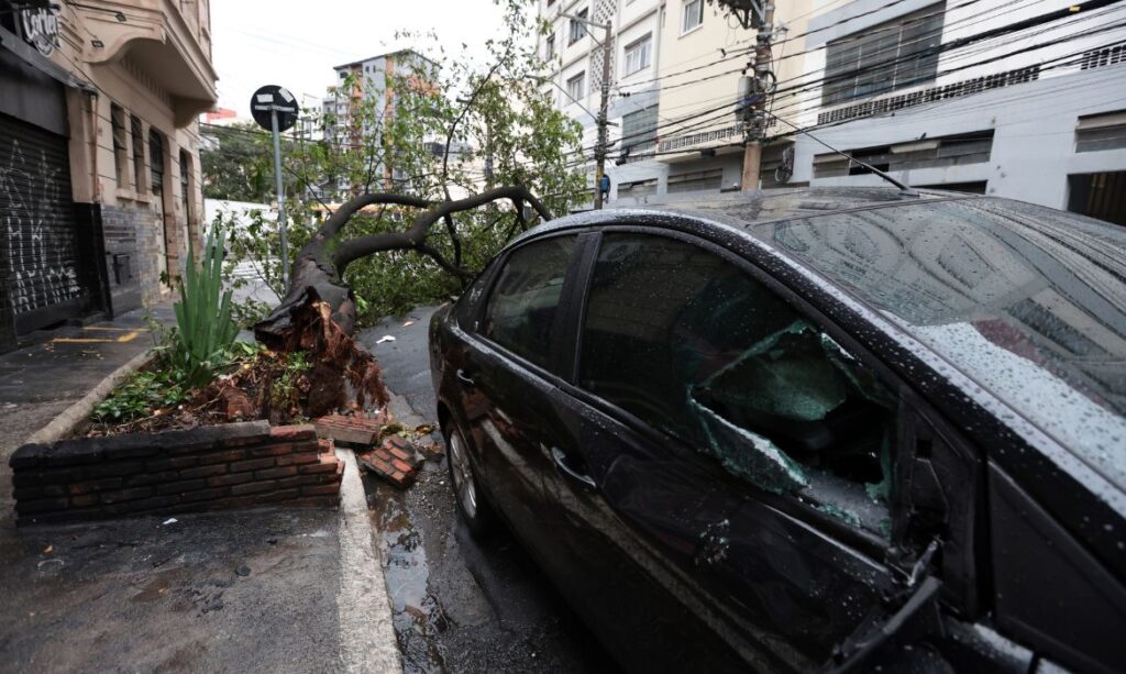 Rajadas de vento de até 98 km/h causam estragos em dia de tempestade na Grande SP