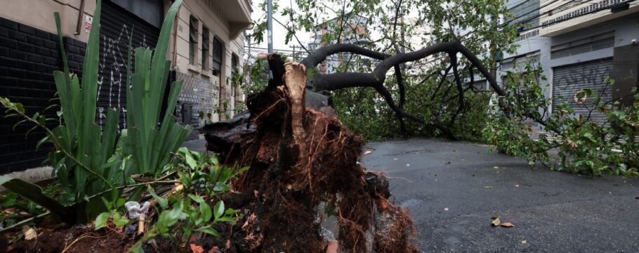 Rajadas de vento de até 98 km/h causam estragos em dia de tempestade na Grande SP