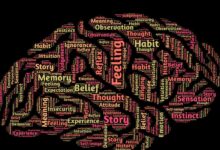 A psicologia dos slots: entendendo os gatilhos mentais para jogar com consciência