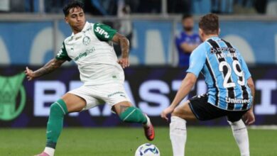 Derrota para o Grêmio deixa Palmeiras mais longe do título