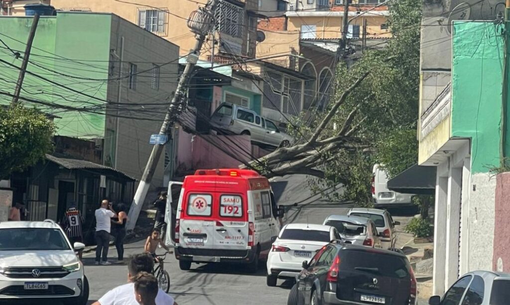 Ventania de quase 100 km/h causa queda de árvores e apagão em São Paulo