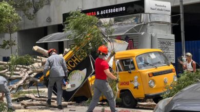 Ventania de quase 100 km/h causa queda de árvores e apagão em São Paulo