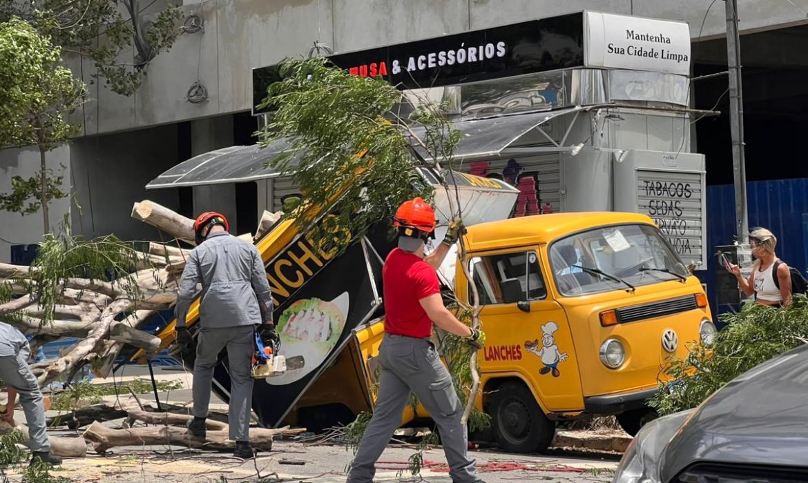 Ventania de quase 100 km/h causa queda de árvores e apagão em São Paulo