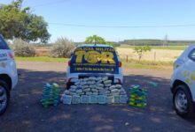 Casal é preso com quase 100 kg de maconha e skunk em Olímpia