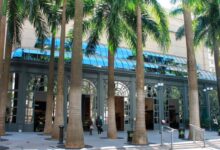 Shopping Pátio Higienópolis promove evento gratuito de saúde e bem-estar