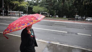 Tempo em São Paulo hoje: domingo terá sol e pancadas de chuva com risco de ventos