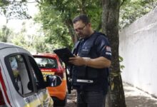 Detran-SP permite exame de direção com veículo próprio a partir de maio