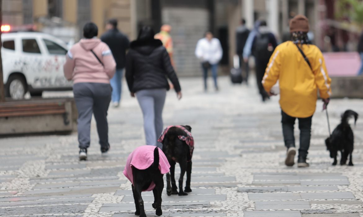 Massa de ar frio mantm tempo estvel e temperaturas baixas em So Paulo