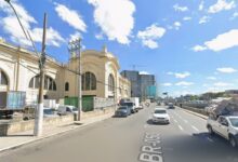 Prefeitura de São Paulo inicia corredor verde com plantio de centenas de árvores no centro da capital