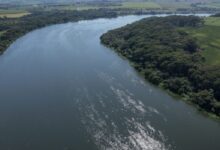 Governo de SP passa a monitorar Rio Tietê e Pinheiros por satélite e inteligência artificial