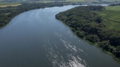 Governo de SP passa a monitorar Rio Tietê e Pinheiros por satélite e inteligência artificial