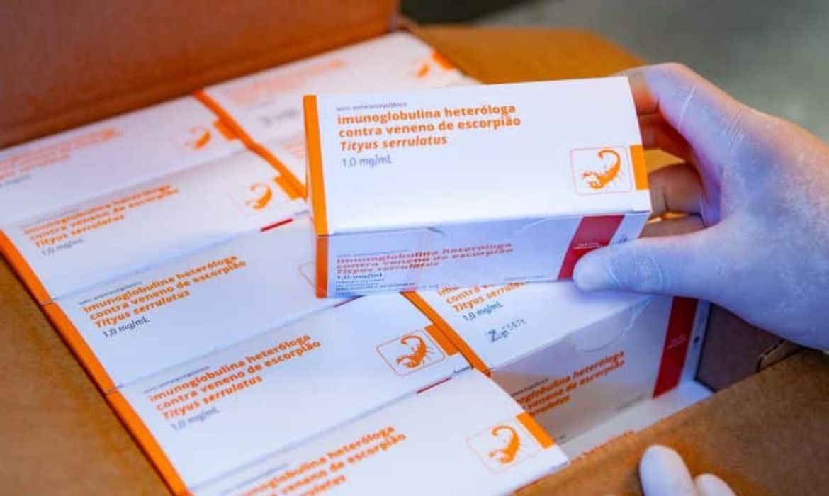 Instituto Butantan alerta para aumento de 349 nos casos de picadas de escorpio no Brasil
