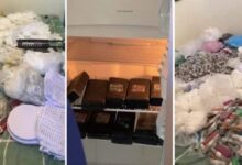 PM apreende cerca de 50 quilos de drogas em imóvel usado pelo tráfico em Paraisópolis