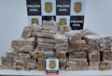Polícia apreende mais de 750 kg de maconha escondidos em caminhão na Zona Sul de SP