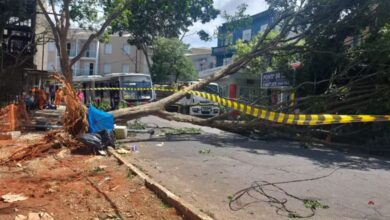 Frente fria provoca ventos acima de 100 km/h, deixa um morto e causa transtornos em SP
