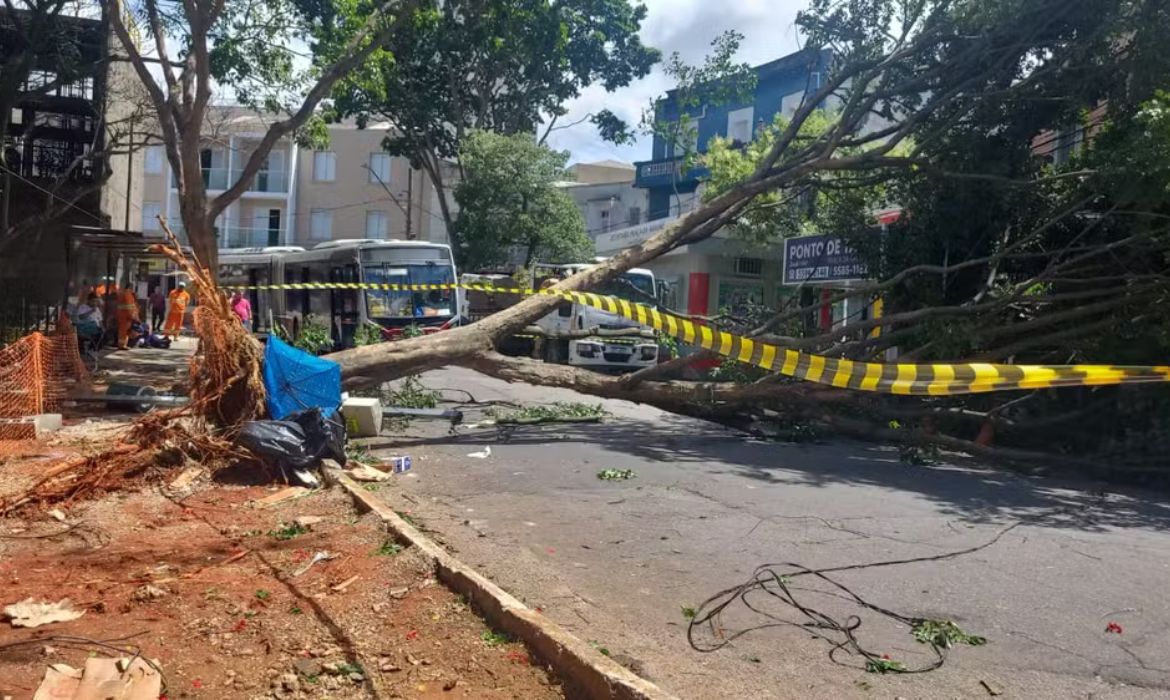 Frente fria provoca ventos acima de 100 km/h, deixa um morto e causa transtornos em SP