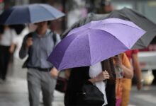 Calor provoca pancadas de chuva em SP neste domingo; veja regiões
