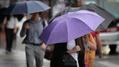 Calor provoca pancadas de chuva em SP neste domingo; veja regiões