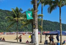 Litoral de São Paulo tem 144 praias próprias para banho no feriado