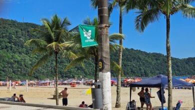 Litoral de São Paulo tem 144 praias próprias para banho no feriado