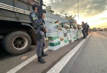 PM Rodoviária apreende quase 3 toneladas de maconha em caminhão no interior de SP