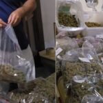 Polícia encontra estrutura para produção de maconha em sítio no interior de SP