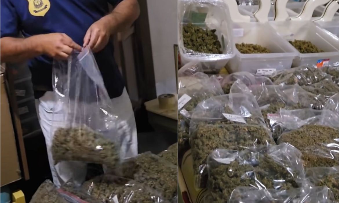 Polcia encontra estrutura para produo de maconha em stio no interior de SP
