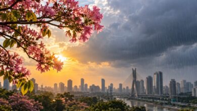 Primavera começa hoje com previsão de mais chuva e episódios de calor em São Paulo