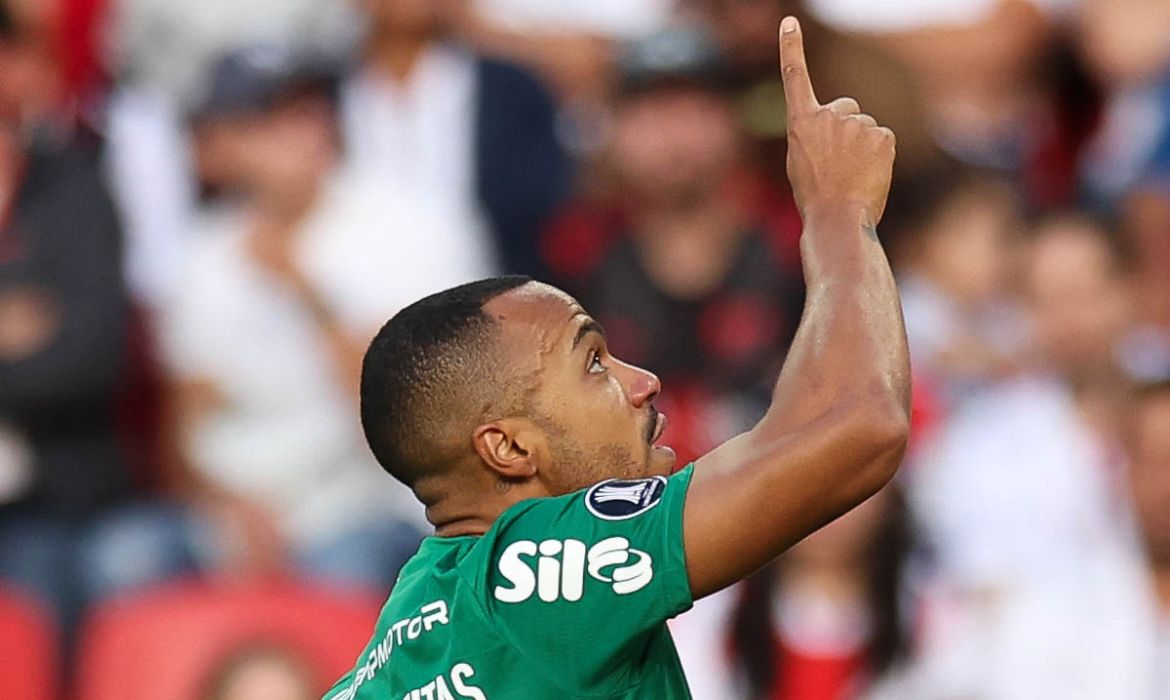 Palmeiras vence nos pnaltis e elimina LDU em noite dramtica pela Libertadores