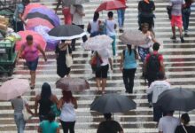 Defesa Civil alerta para temporais em São Paulo com risco de alagamentos e granizo