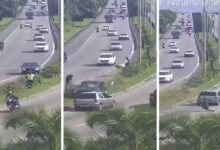 Jardineiro morre após ser atingido por carro que invadiu canteiro em Praia Grande