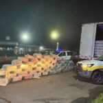 Polícia apreende 1,8 tonelada de maconha em caminhão no interior de São Paulo