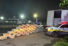 Polícia apreende 1,8 tonelada de maconha em caminhão no interior de São Paulo