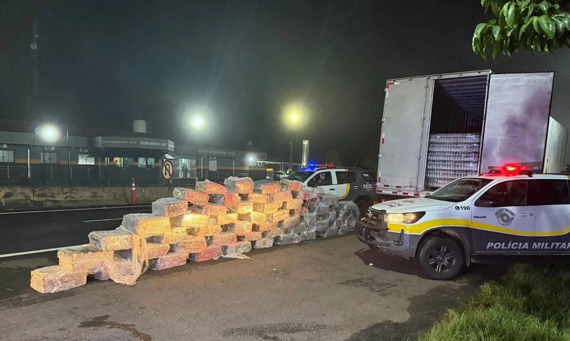 Polcia apreende 18 tonelada de maconha em caminho no interior de So Paulo