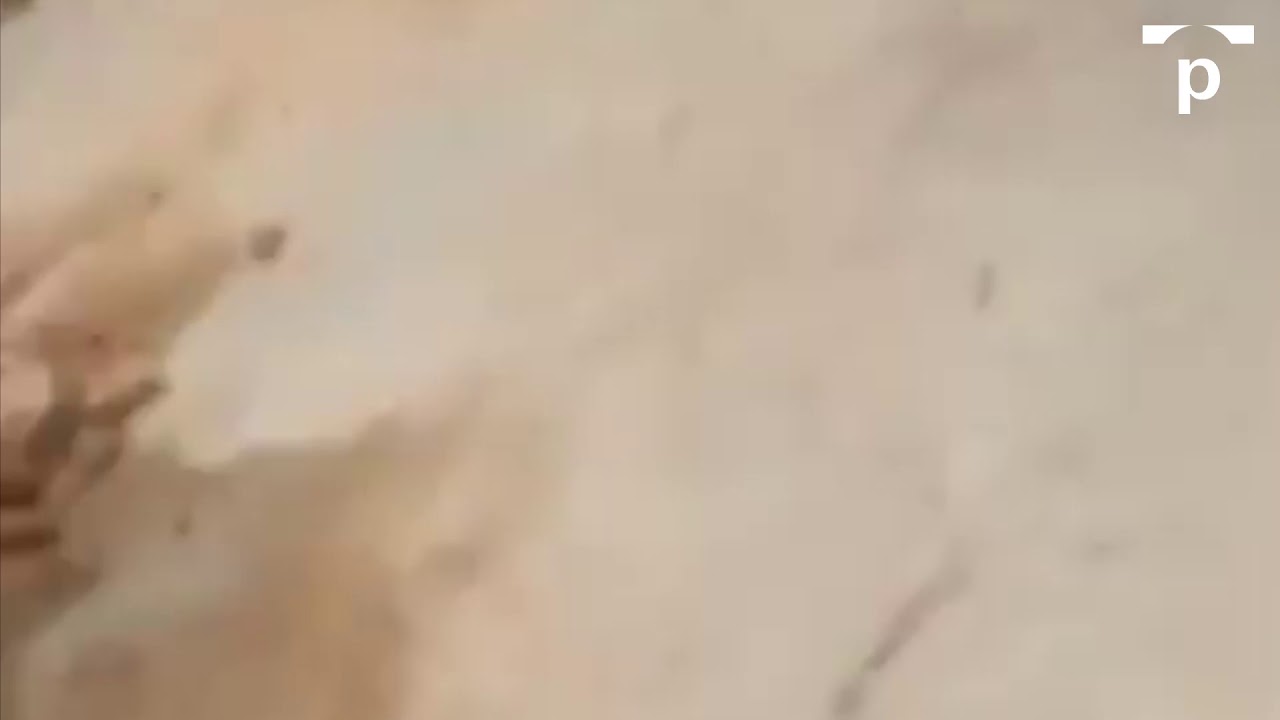 youtube placeholder image