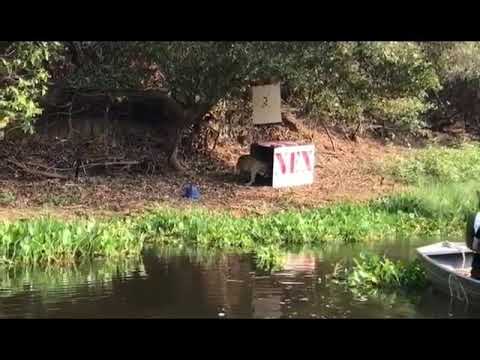 youtube placeholder image