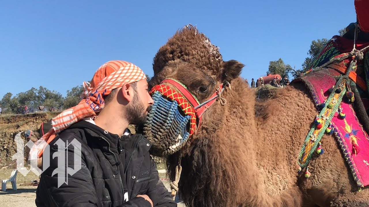 youtube placeholder image